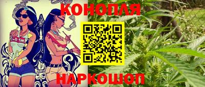шишки Новозыбков