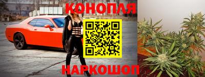 шишки Новозыбков