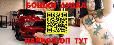 СК Новокубанск