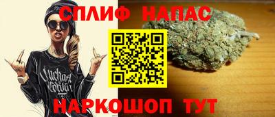 СК Новокубанск