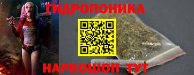 СК Новокубанск