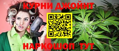 СК Новокубанск