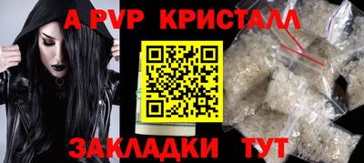 СК Новокубанск